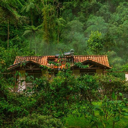 Hotel Termales San Vicente Santa Rosa de Cabal Dış mekan fotoğraf